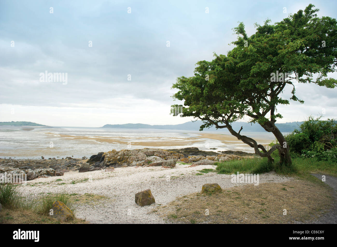 Eine Ansicht vom Strand von Kippford.Dumfries & Galloway Scotland UK Stockfoto