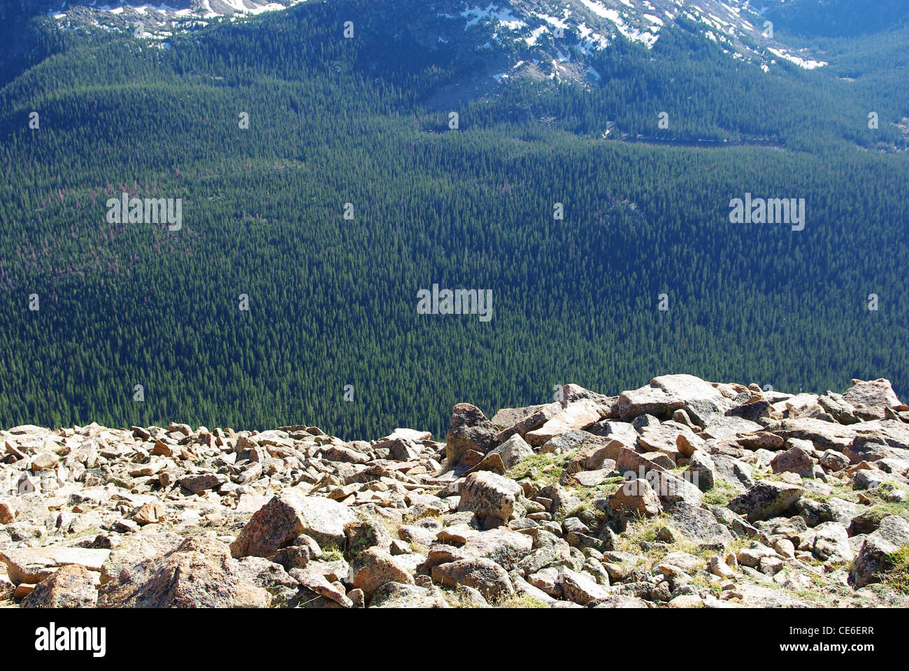Deeeeeeep springen, Rocky Mountain Nationalpark, Colorado Stockfoto