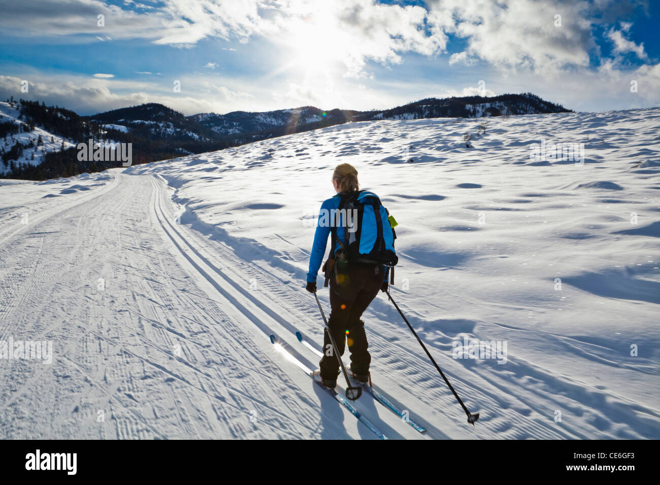 Eine Frau Langlaufen auf den Trails in der Nähe von Sun Mountain Lodge in Methow Valley, Washington, USA. Stockfoto
