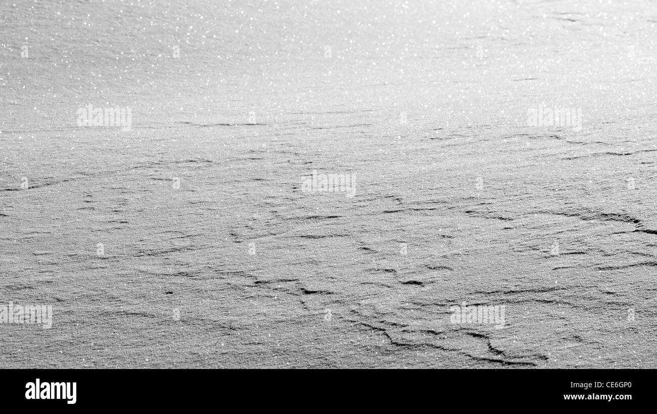 Schnee-Nahaufnahme Stockfoto