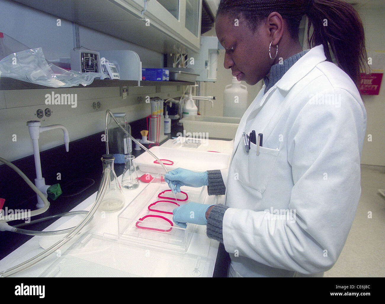 Research Assistant Nyasha London menschliche Gehirn Proben s mit Dental Wachs umgibt und gilt eine radioaktive Flüssigkeit. Stockfoto