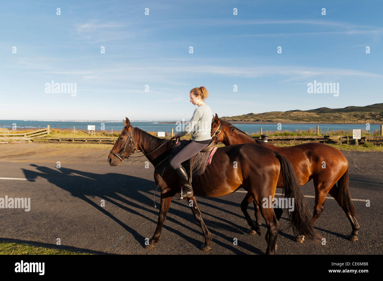 Frauen training Pferd, Reiten auf Straße in Richtung Strand mit zwei Pferden, Raglan Neuseeland Stockfoto