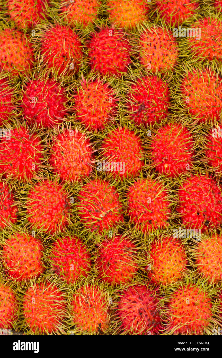 Rambutan Früchte, eine der gemeinsamen Früchte in Asien Länder gefunden. Stäbchen wurden in einem Raster einheitliche Muster angeordnet. Stockfoto