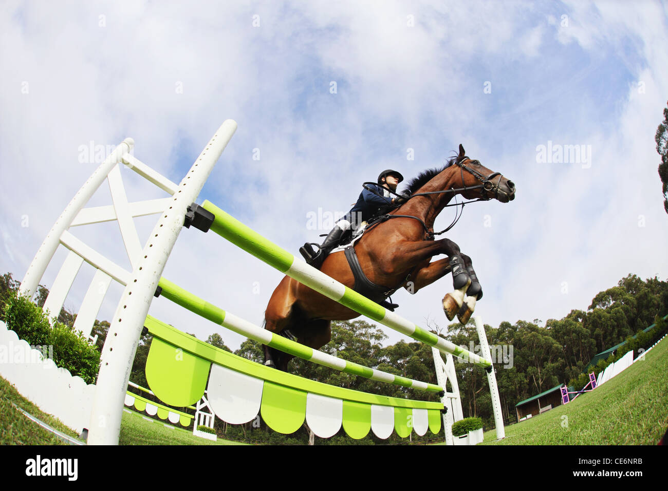 Reiterin springen Hürde Stockfoto