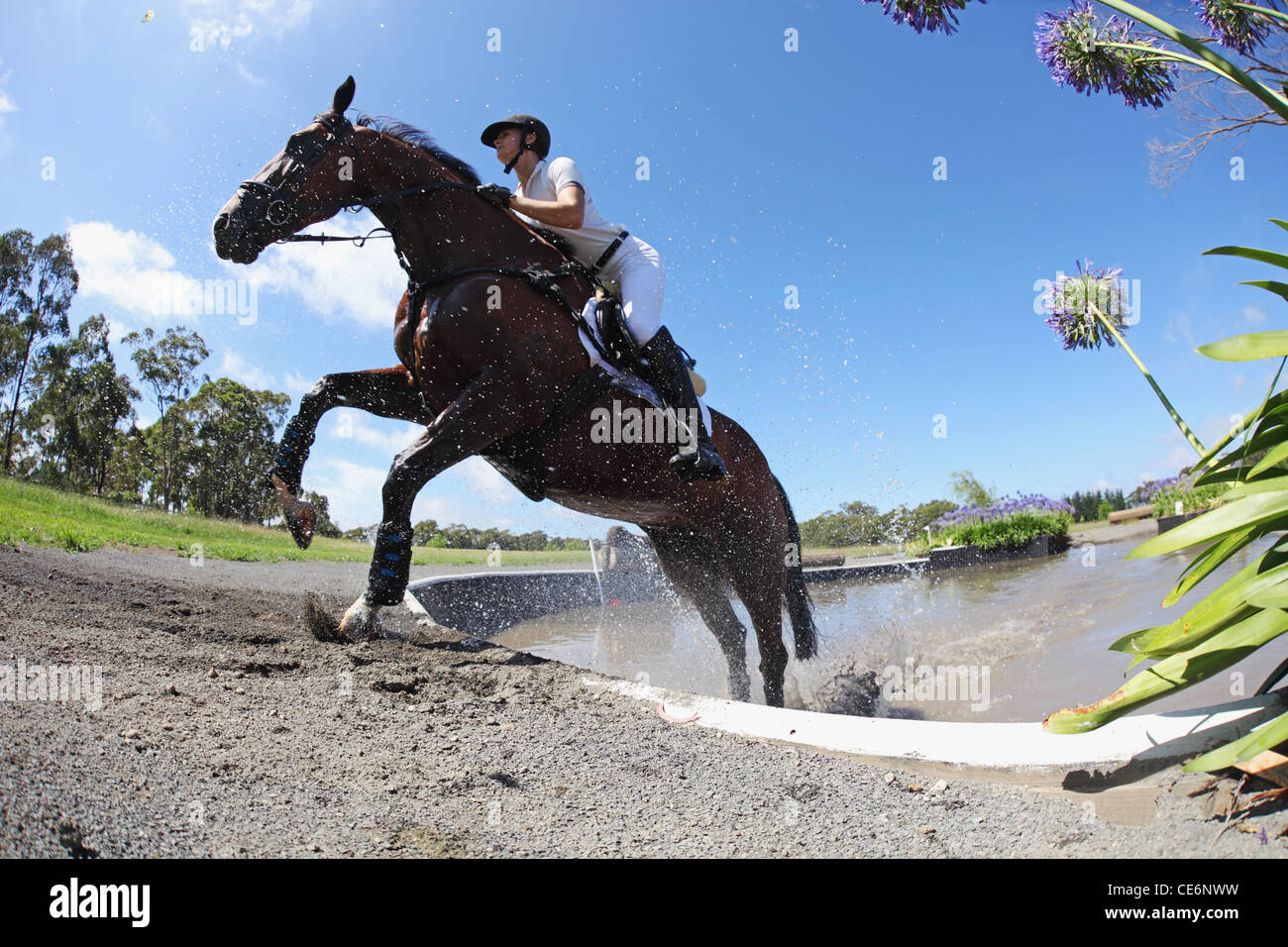Reiter über Wasser im Pferdesport-Event Stockfoto