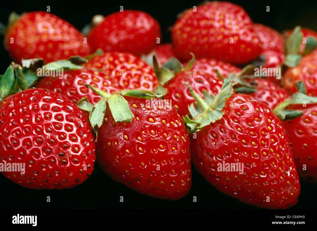 Erdbeerfrucht; Erdbeerfrucht; Hintergrund; Doppelspread; abstrakt; mahabaleshwar; indien; asien Stockfoto