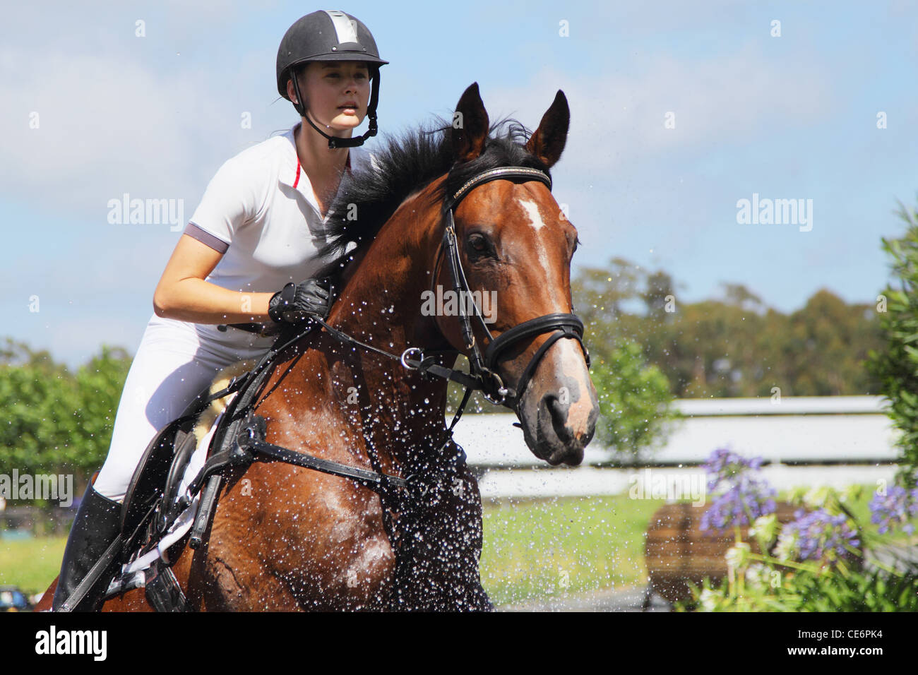 Pferd Reiter Kreuzung Wasser, Pferdesport-Event Stockfoto