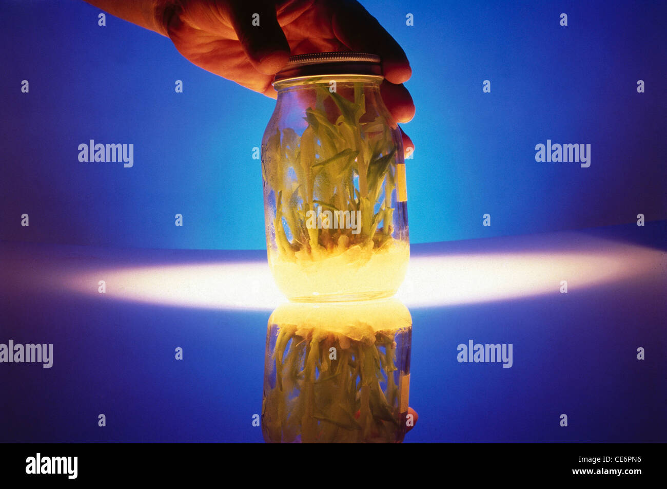 Bio-Tech-experiment Stockfoto