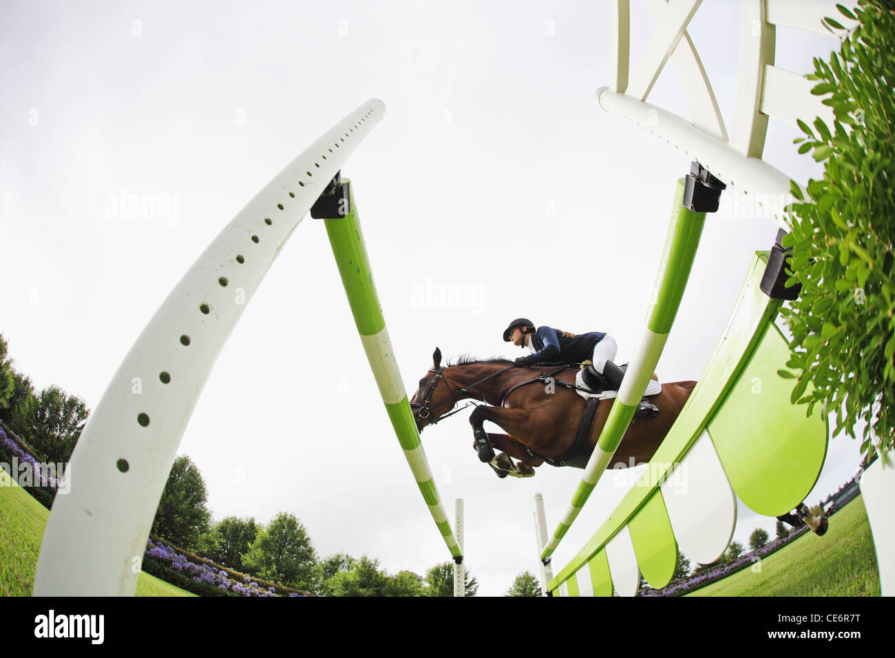 Reiterin springen Hürde Stockfoto