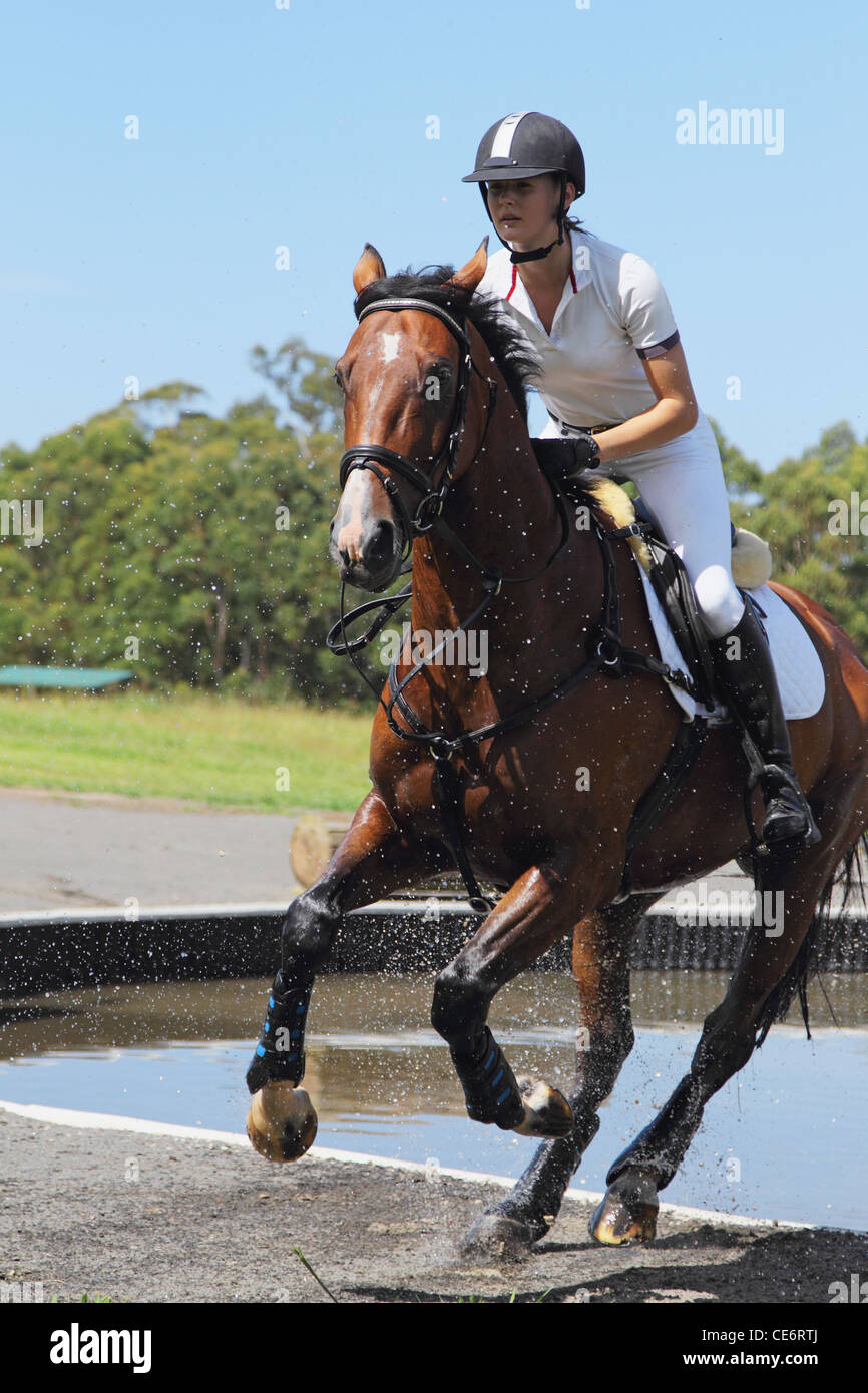 Weibliches Pferd Reiter Kreuzung Wasser, Pferdesport-Event Stockfoto