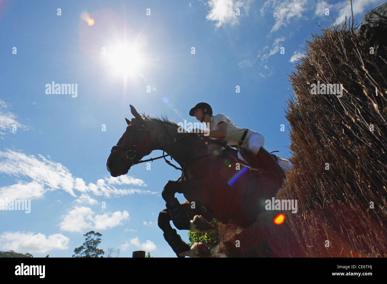 Frau Reiten Reiter springen Pferd Stockfoto