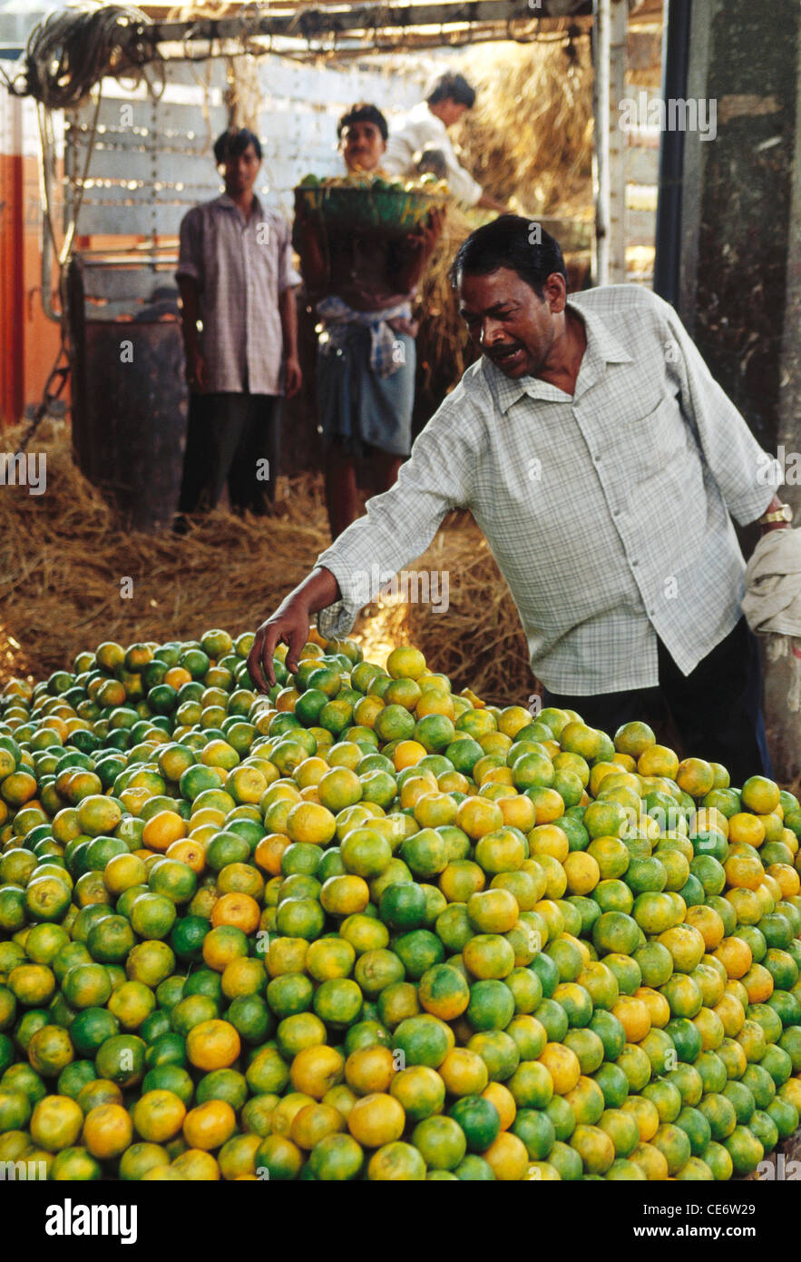 HMA 85248: Orangenfrucht Verkäufer im Großhandel Markt Vashi Navi Mumbai Maharashtra Indien Stockfoto