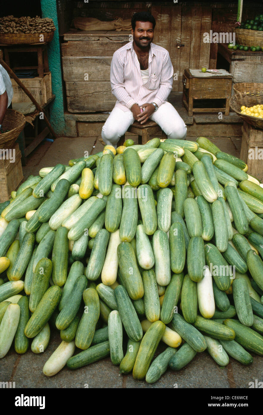Mann verkaufen frische grüne Gurken mysore Karnataka, Indien Stockfoto