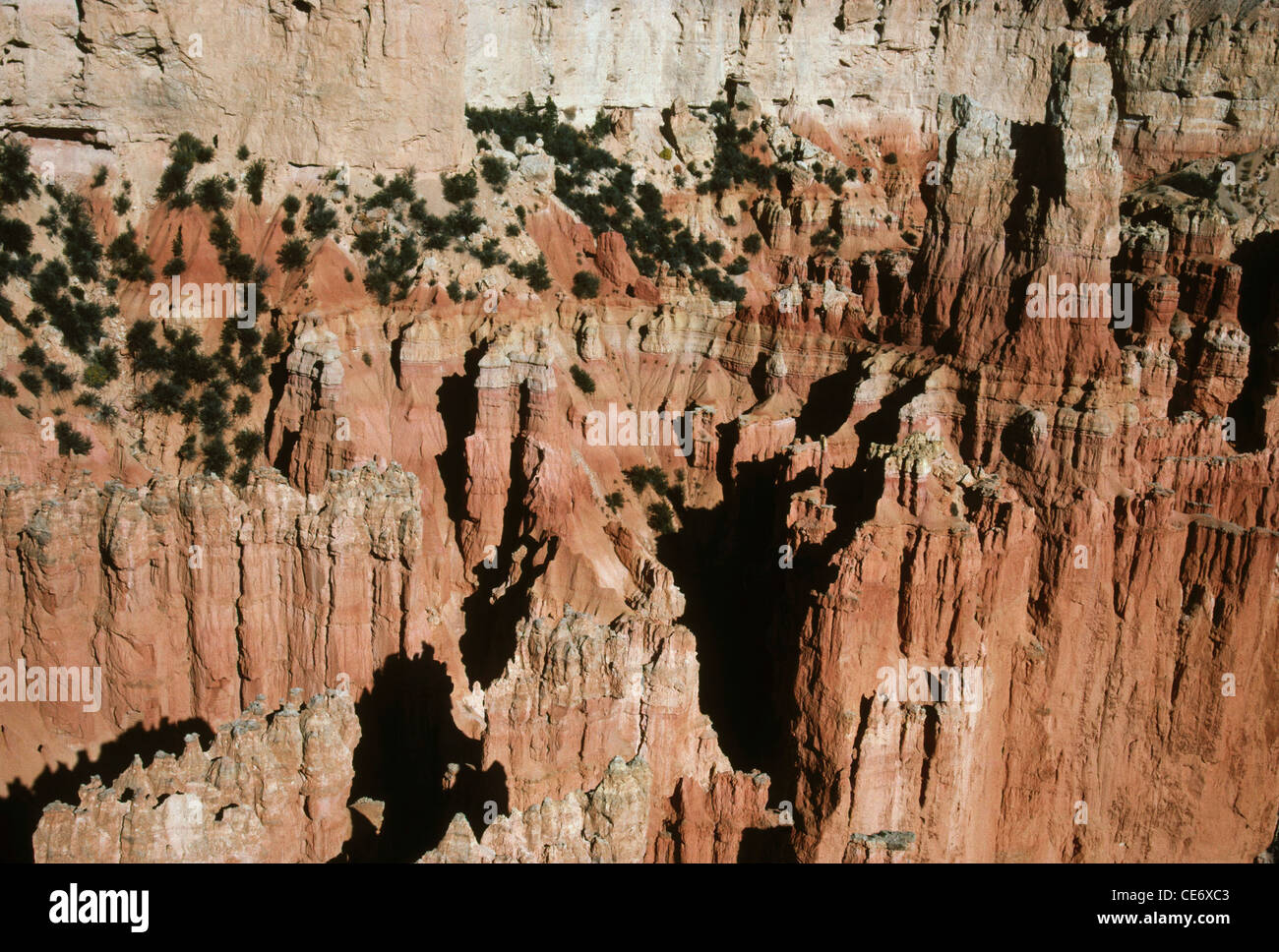 AMA 86223: Bryce Canyon Utah USA Vereinigte Staaten von Amerika Stockfoto