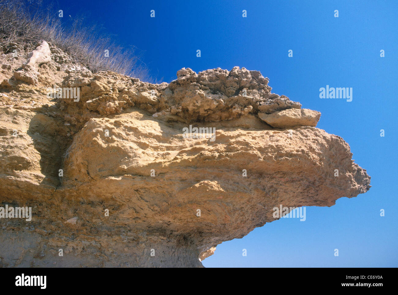 Überhängende Steinbodenerosion; Bet Dwarka Strand; Shankhodhar; gujarat; indien; asien Stockfoto