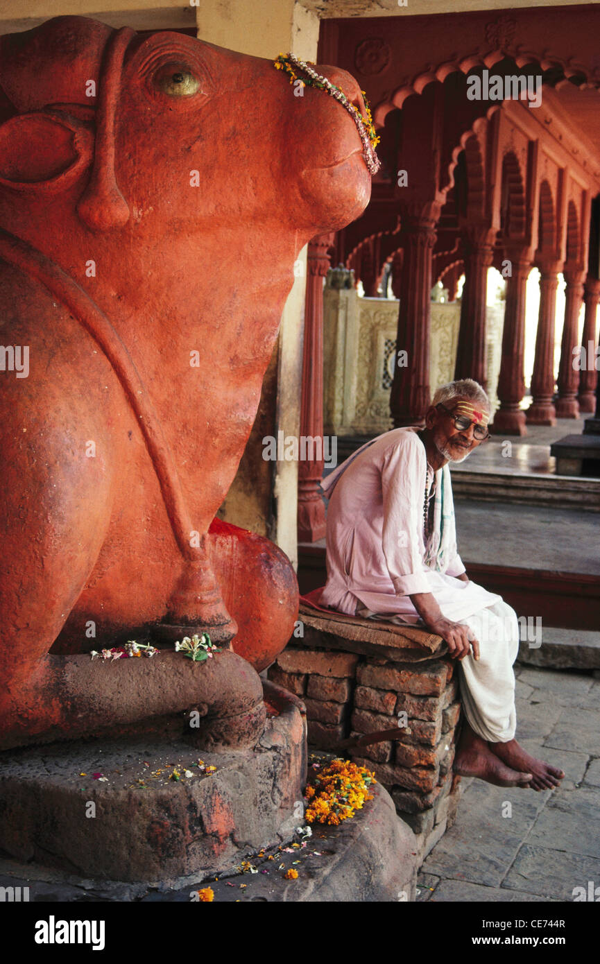 Indischer Priester, der unter Skulptur von Nandi Bull sitzt; Träger des Hindu-Gottes Shiva; varanasi; uttar pradesh; indien; asien Stockfoto