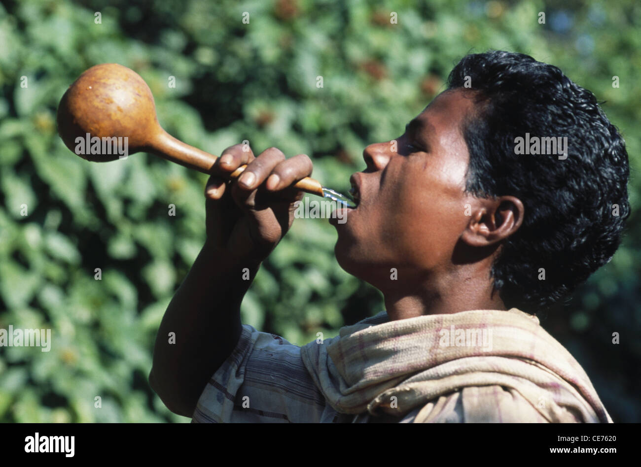 Bonda tribal Mann trinken lokale Schnaps in der Tradition Weg; Orissa, Indien Stockfoto