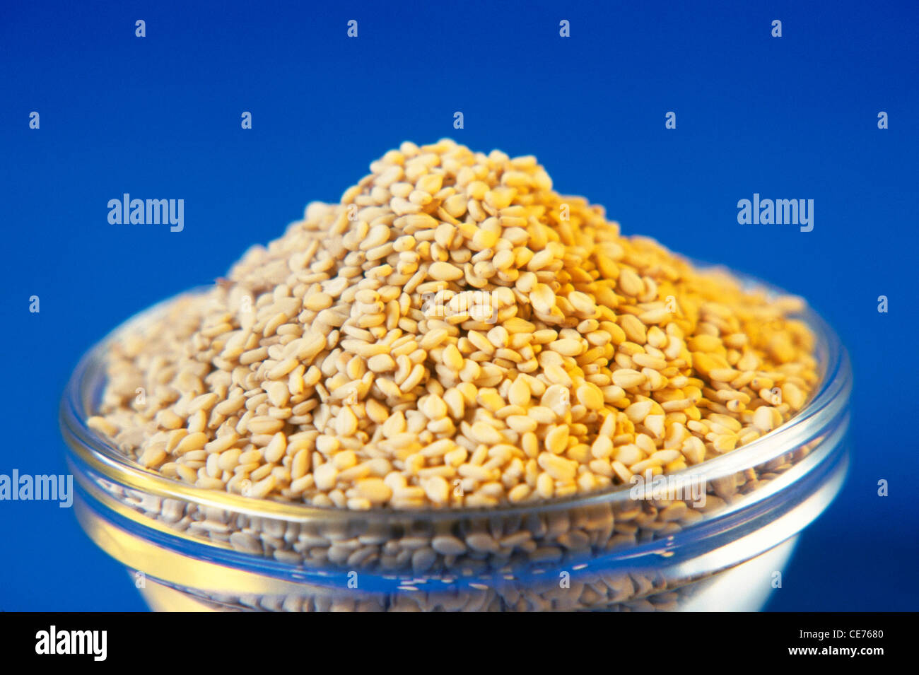 Weißer Sesam in Glasschale auf blauem Hintergrund Stockfoto