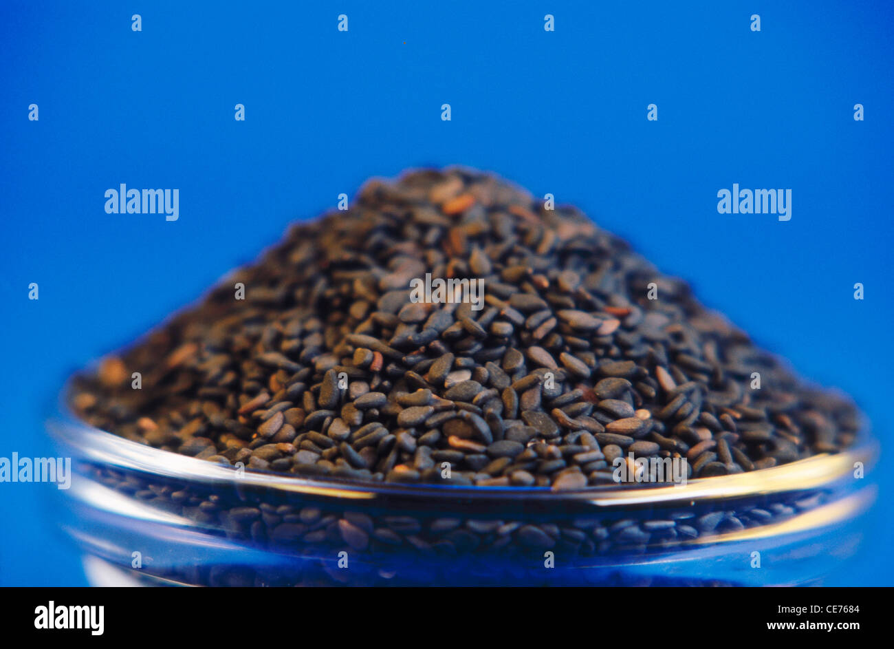 Schwarze Sesamsamen in Glasschale auf blauem Hintergrund Stockfoto