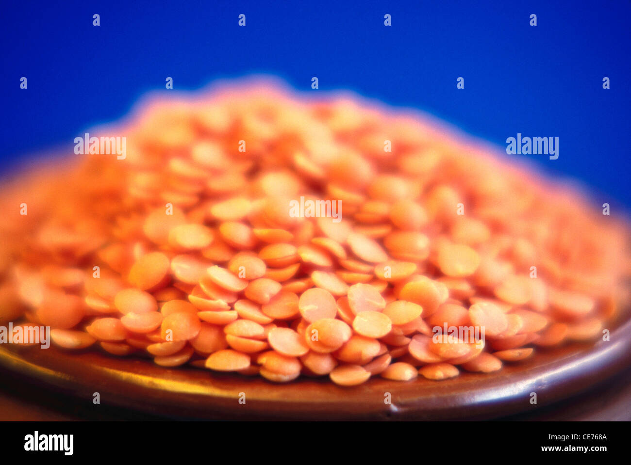 Rote Linsen Samen teilen; Lens culinaris in irdenen Topf auf blauem Hintergrund Stockfoto