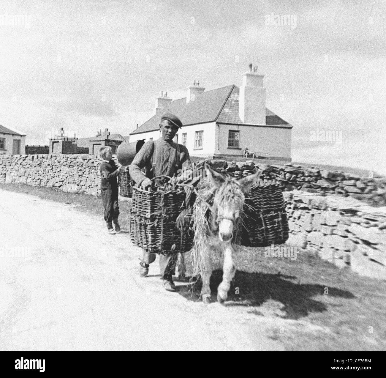 Patrick Dirrane mit seinem Sohn und einem schwer beladenen Esel auf Inis Mor, Aran-Inseln, Co. Galway, Irland Stockfoto