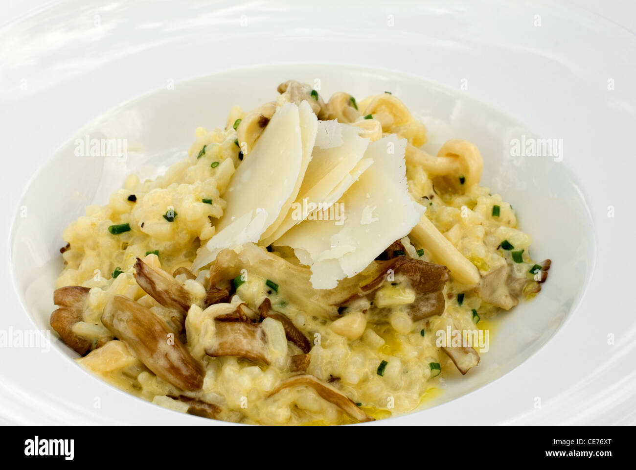 Pilz-Risotto mit Parmesan-Käse garniert Stockfoto