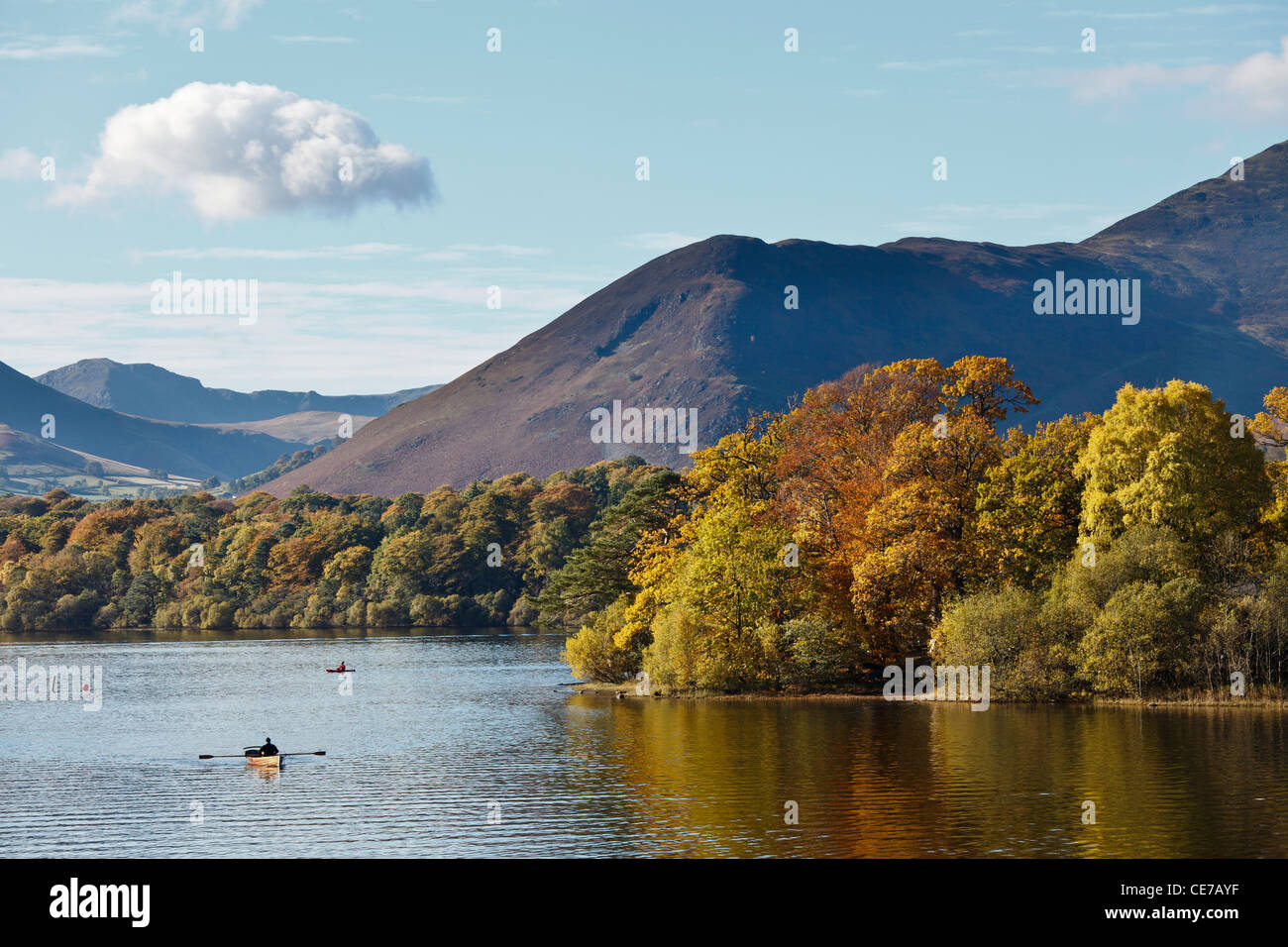 Katze-Glocken von Crow Park, Keswick, Nationalpark Lake District, Cumbria, England Stockfoto