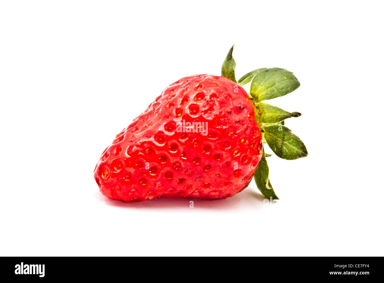 Frische Erdbeeren auf weißem Hintergrund Stockfoto
