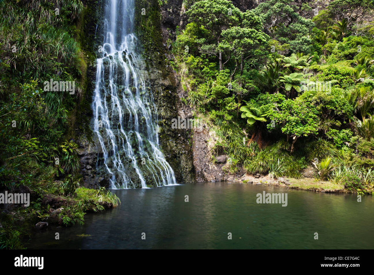 Karekare fällt. Karekare, Waitakere Ranges Regional Park, Auckland, Nordinsel, Neuseeland Stockfoto