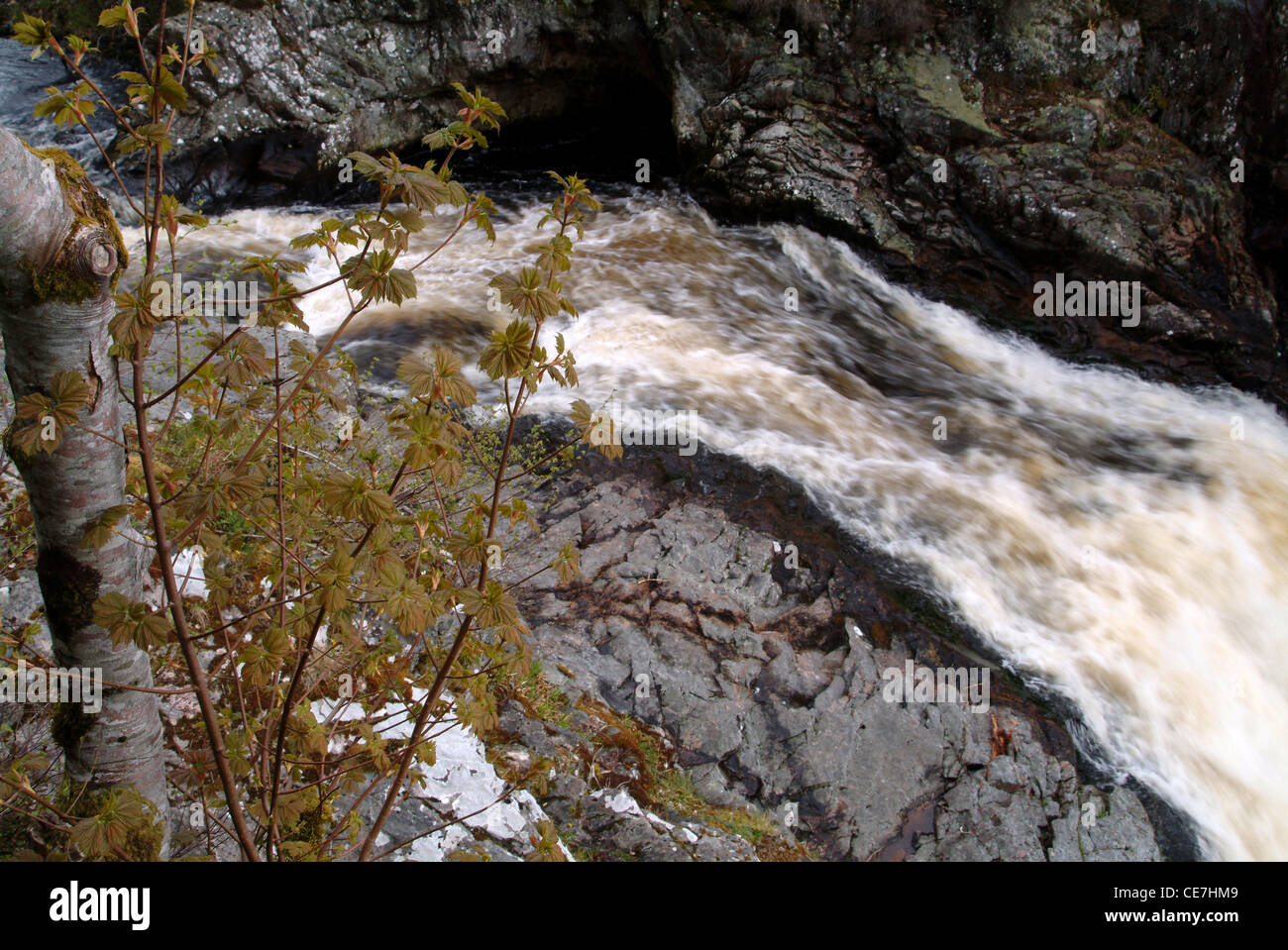 Wildwasser-Stromschnellen, Shin Wasserfällen, Sutherland, Schottland, UK Stockfoto