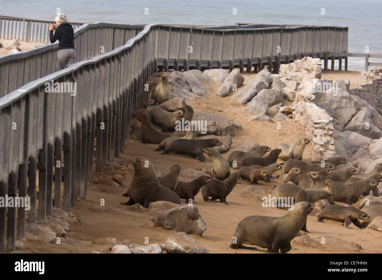 Gehweg aus dem Besucher die Robben-Kolonie, Cape Cross, Namibia beobachten können. Stockfoto