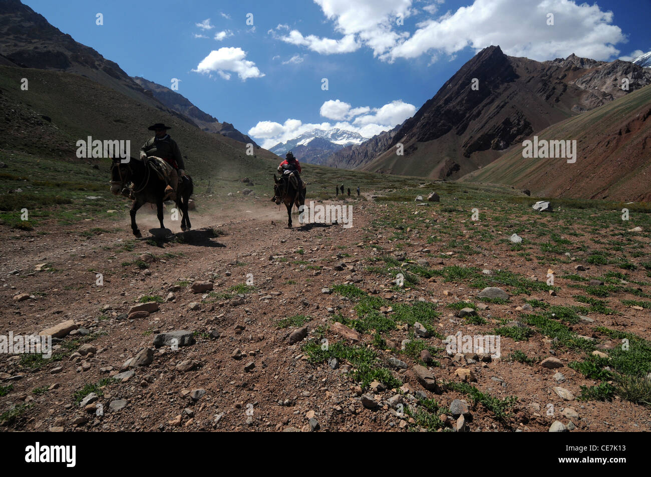 Gauchos mit den Gipfel des Aconcagua in den Hintergrund, Parque Nacional Aconcagua, Mendoza, Argentinien. Keine PR Stockfoto