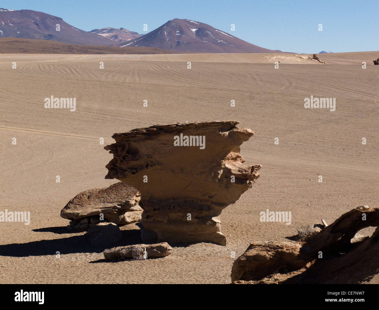 Die Rock-Baum, in der Nähe von Dali Wüste Atacama-Wüste, Bolivien Stockfoto