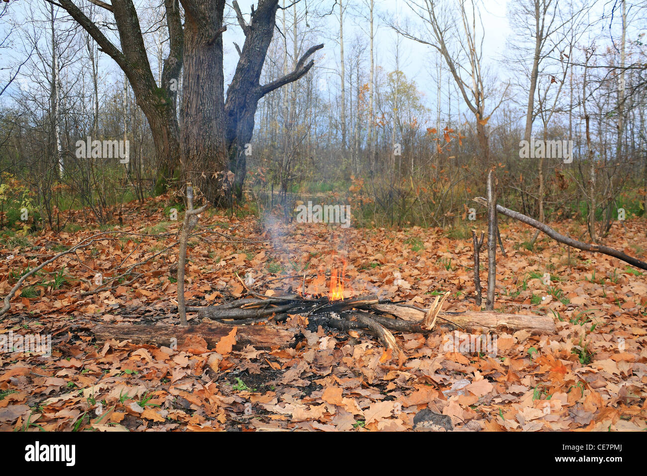 kleines Lagerfeuer unter gelbes Blatt Stockfoto