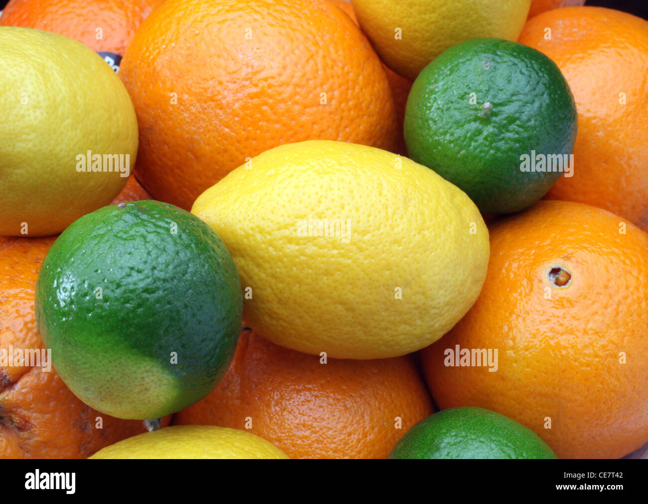 Zitrusfrüchte: Limone, Zitrone und orange Stockfoto