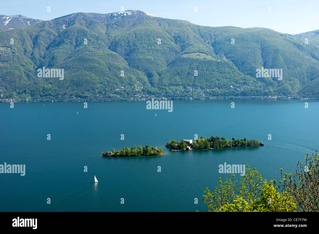Brissago Inseln mit dem Botanischen Garten des Kantons Tessin in der See Lago Maggiore, Tessin ...
