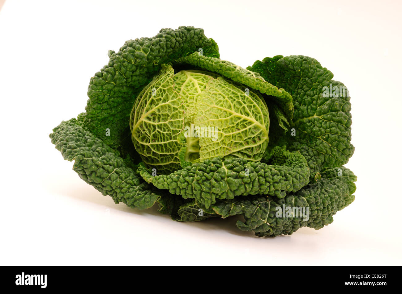 Britische Wirsing. Gemüse. Stockfoto