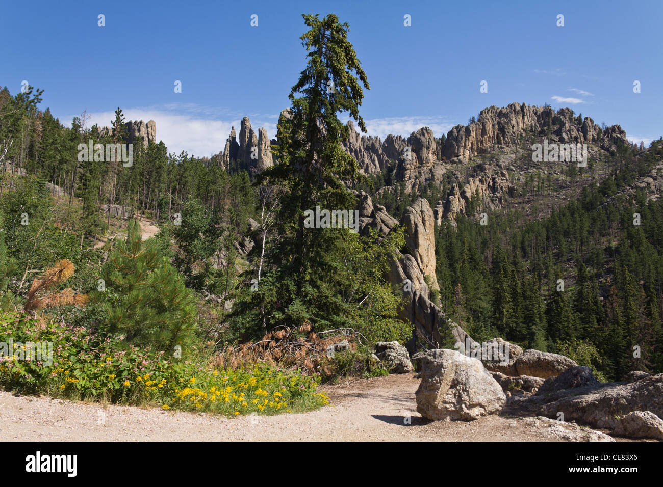 Black Hills National Forest Custer State Park die Needles Highway Cathedral Spires South Dakota in den USA wunderschöne Landschaft, horizontale Hochauflösung Stockfoto