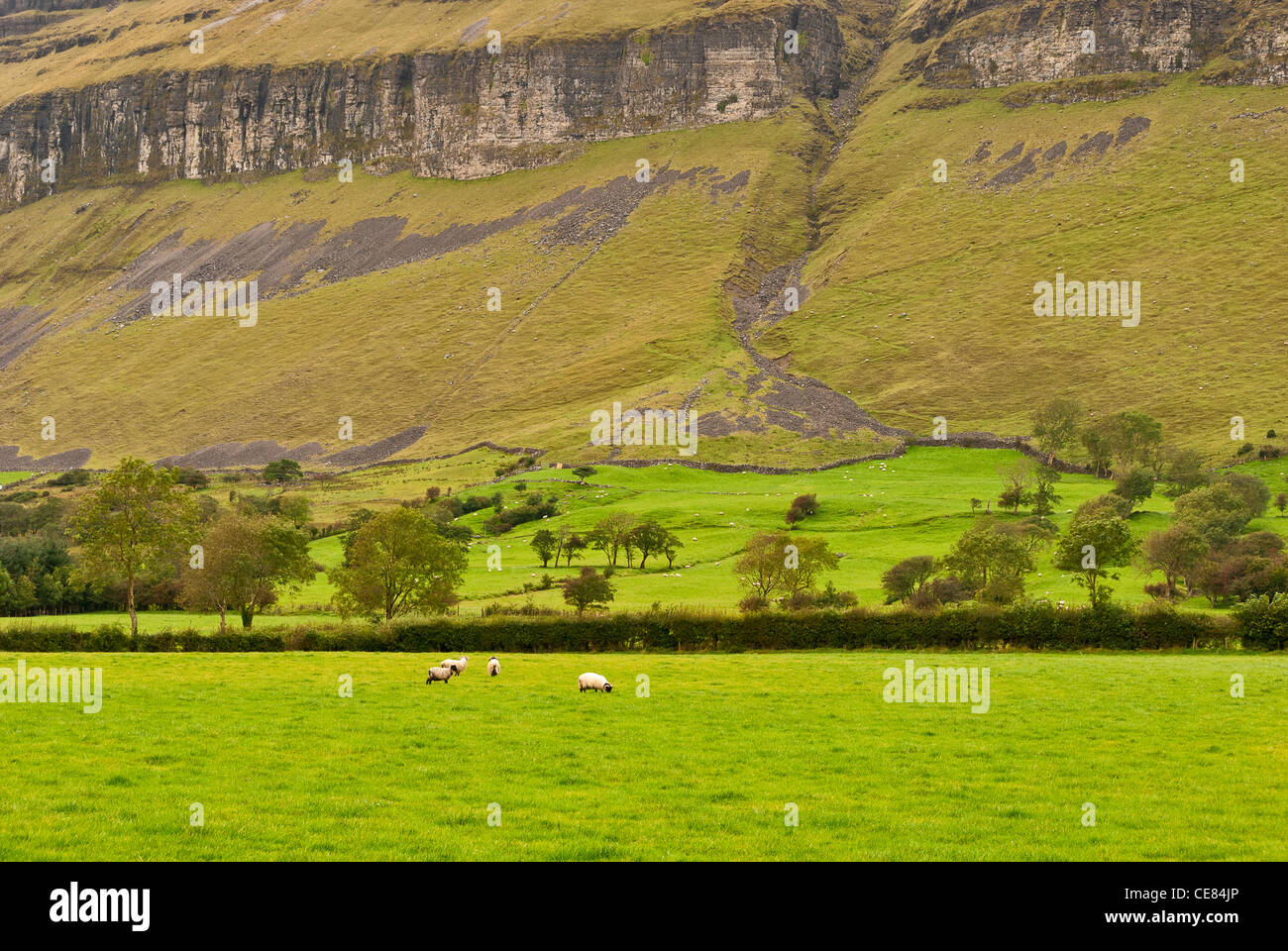 Am Fuße der Dartry Mountains im County Sligo. Stockfoto