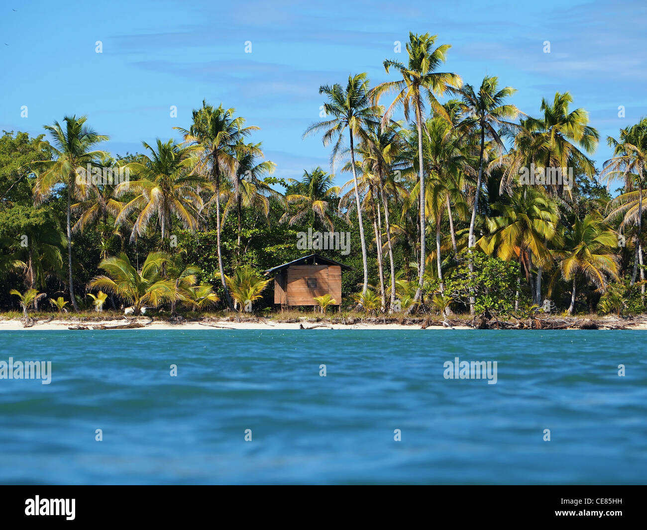 Tropischen Strand mit Kokosnüssen Bäume und eine Hütte, Mittelamerika, Panama Stockfoto