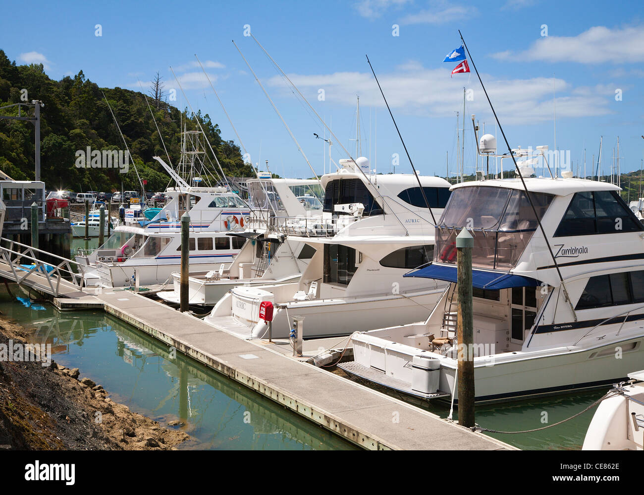 Boote bei Tutukaka Marina, Northland, Nordinsel, Neuseeland. NZ Stockfoto