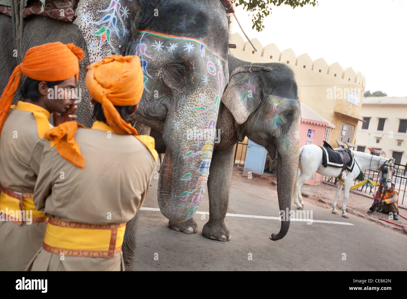 Elefanten am wissenschaftlichen Observatorium Jantar Mantar in Jaipur in Rajasthan, Indien. Stockfoto