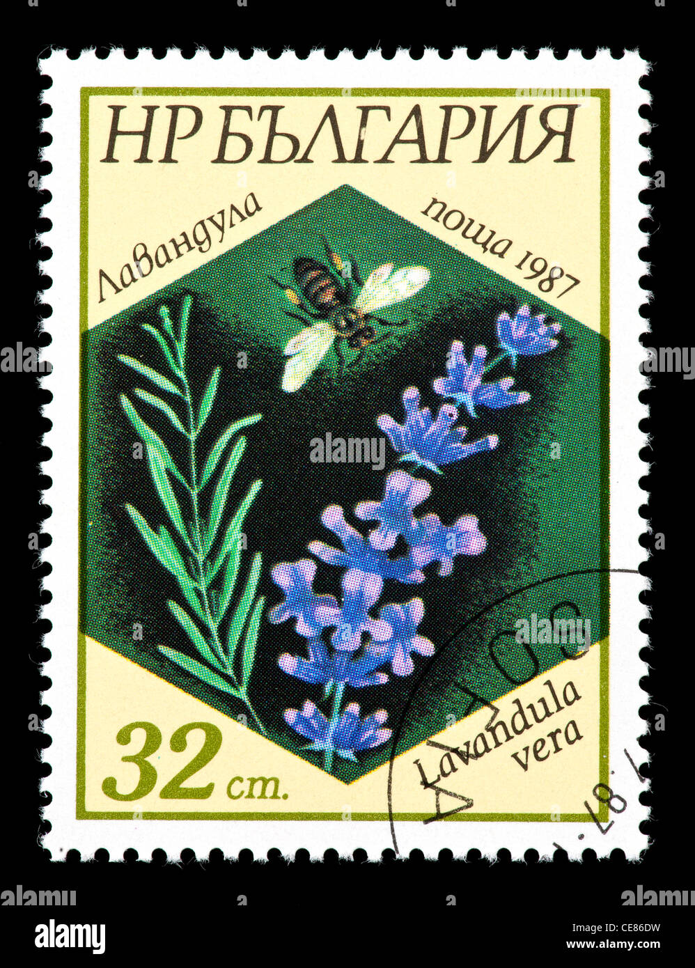 Briefmarke aus Bulgarien, die Darstellung einer Biene und Lavendel (Lavandula Vera). Stockfoto