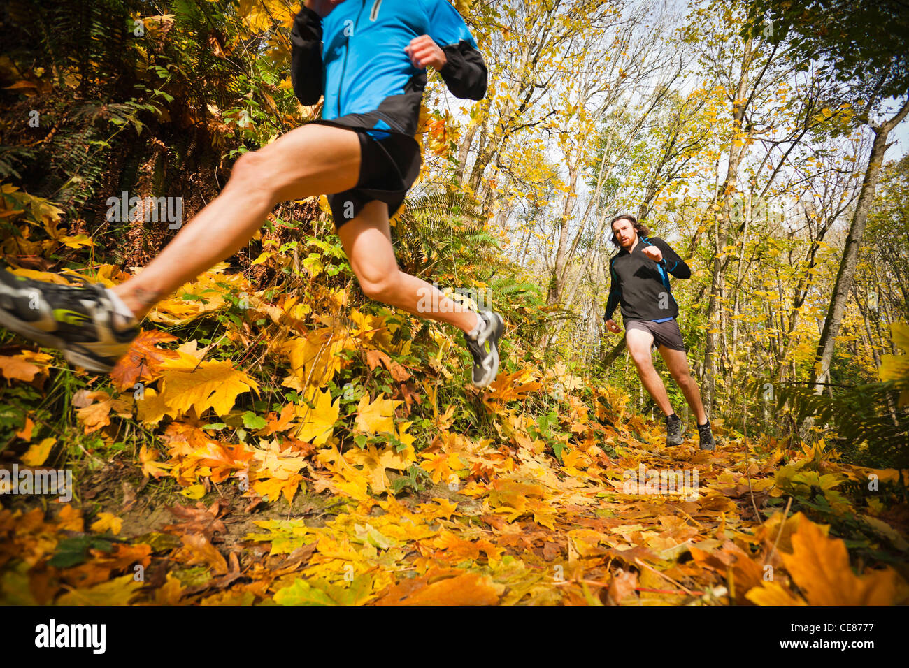 Zwei Männer Trail-running-durch einen Wald in den Farben des Herbstes. Stockfoto