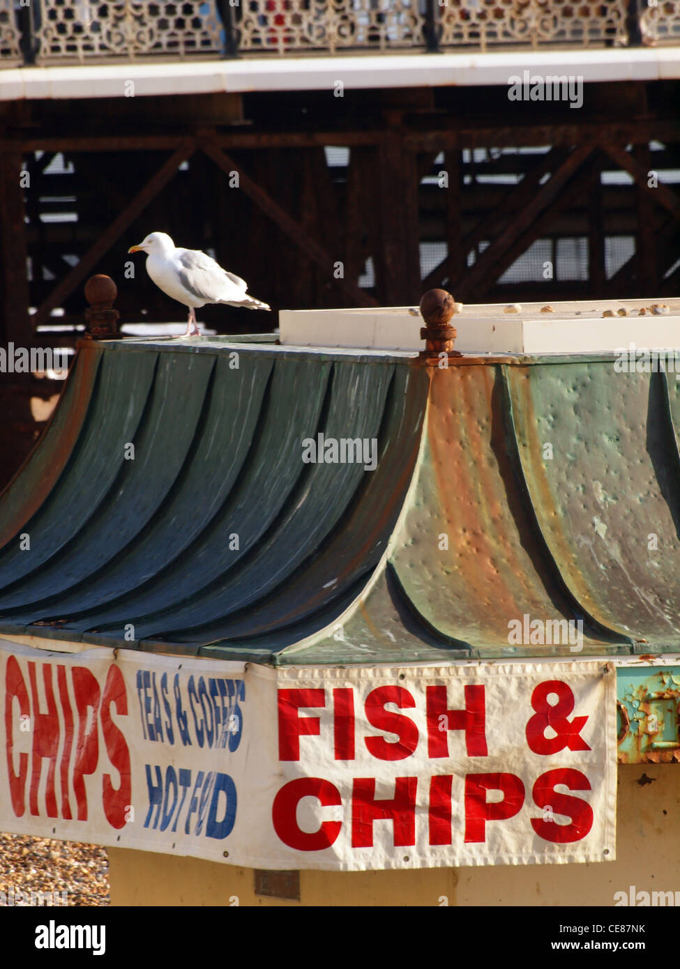 Ein Seagulll befindet sich auf der Oberseite einen Strandkiosk Fish & Chips in Brighton thront. Stockfoto