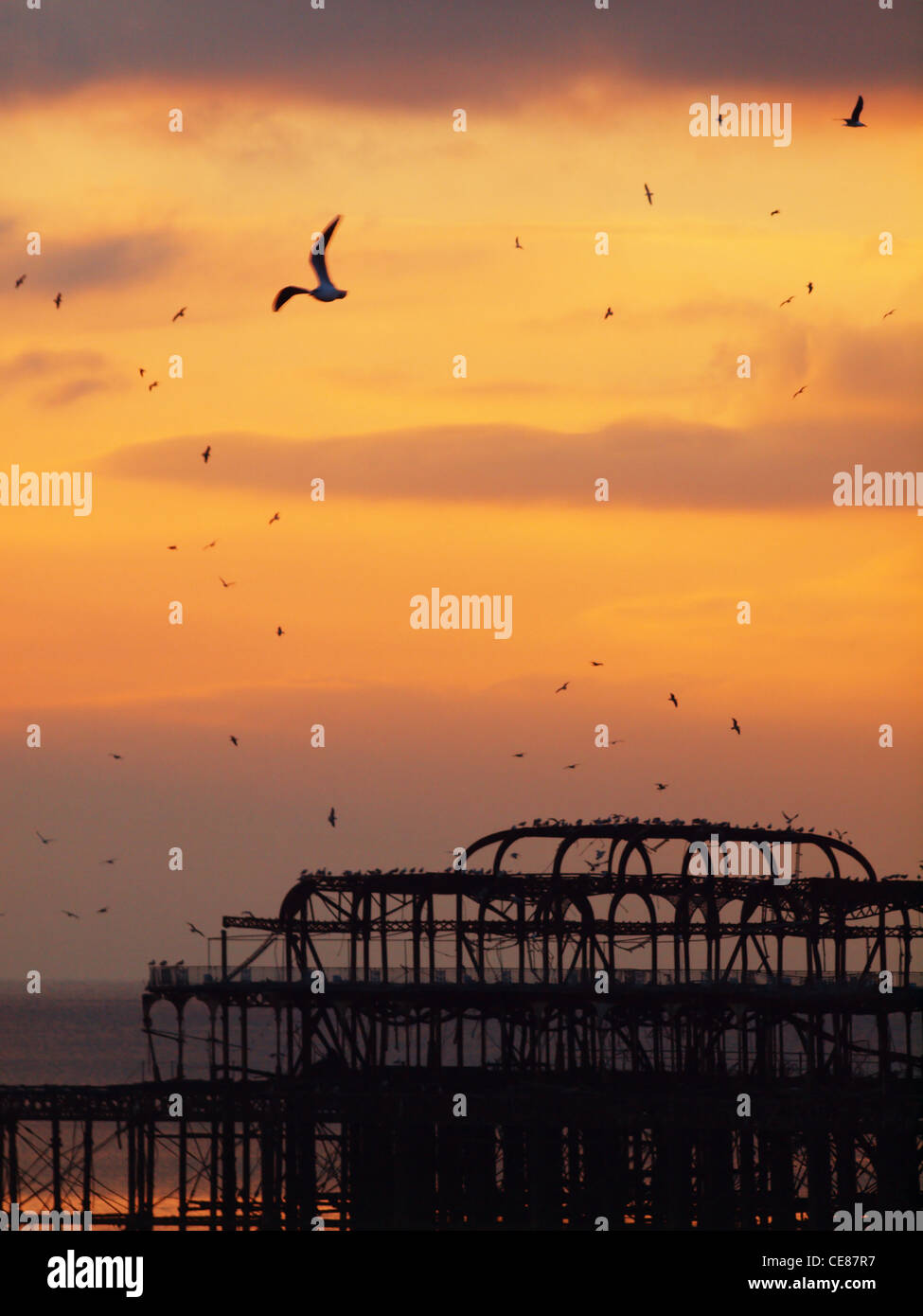 Scharen von Möwen fliegen über die eindringliche Silhouette der Brighton Pier West, wie eine untergehenden Sonne strahlend Himmel leuchtet Stockfoto
