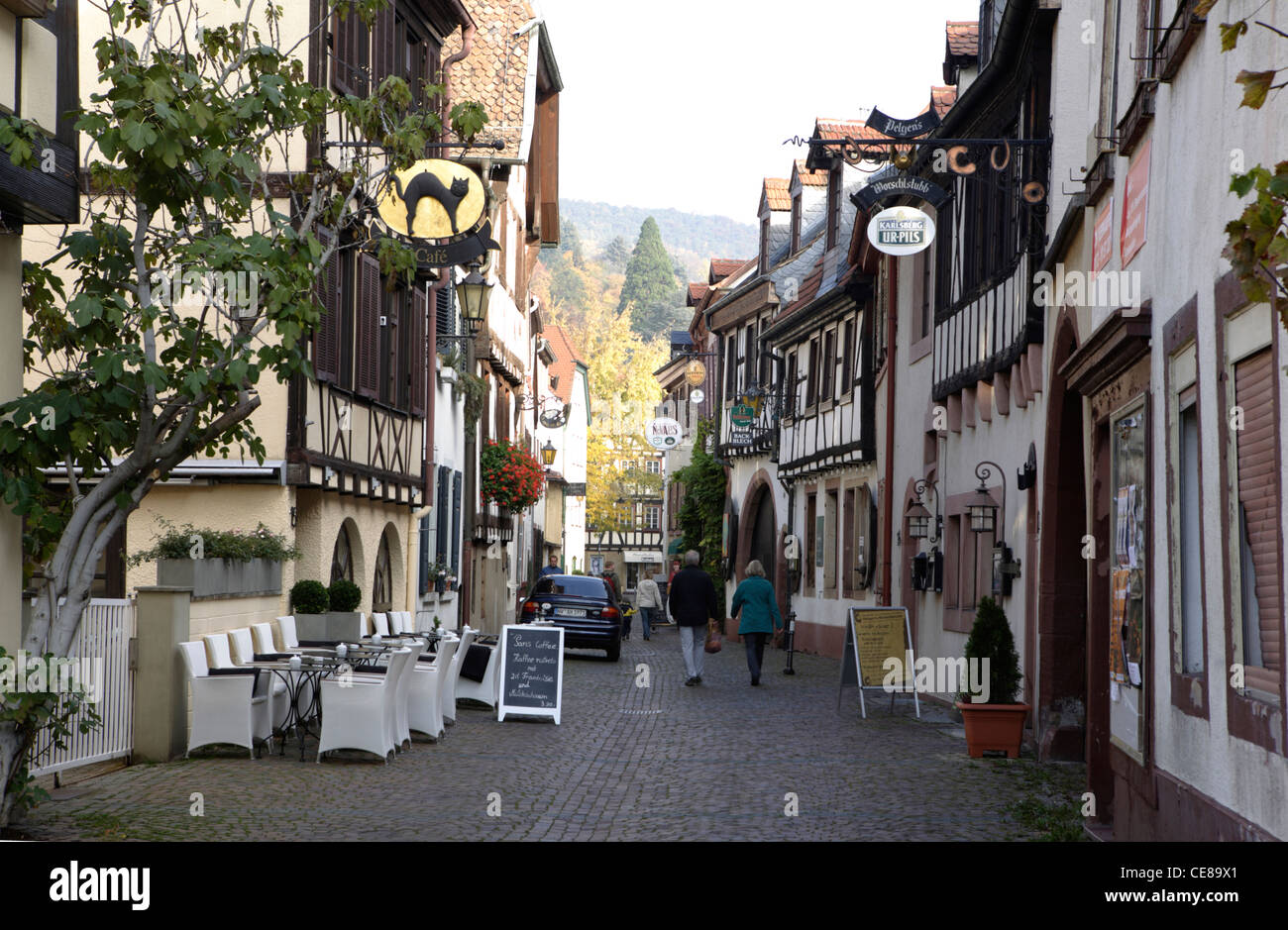 Hintergasse, Neustadt ein der Weinstraße, Rheinland-Pfalz, Deutschland, Europa Stockfoto