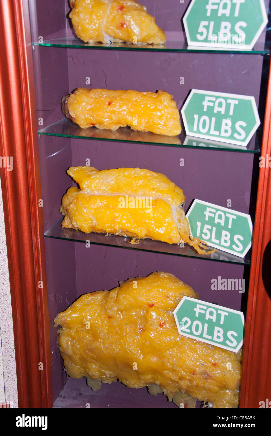 Körper-Fett-Vergleich Stockfoto