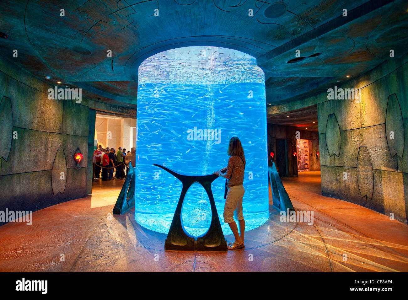 Dubai Aquarium Im Atlantis The Palm Resort In Dubai