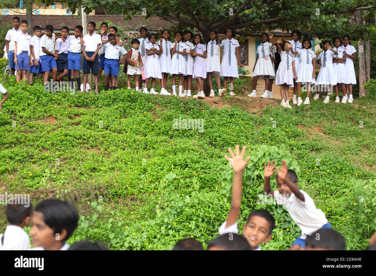 Sri Lanka, Provinz, Sabaragamuwa, Schüler, jungen und Mädchen in Schuluniform Stockfoto